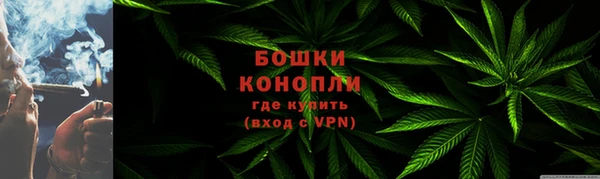 дмт Белокуриха