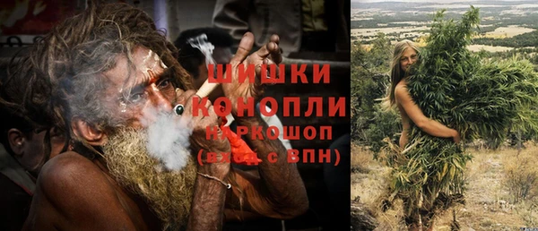 дмт Белокуриха