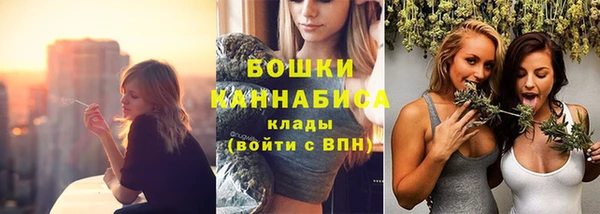 дмт Белокуриха
