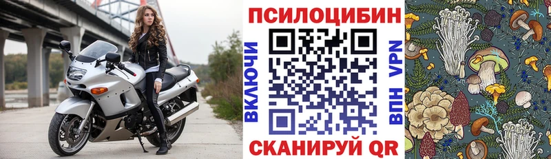 даркнет сайт  MEGA ссылка  Псилоцибиновые грибы Cubensis  Бородино 